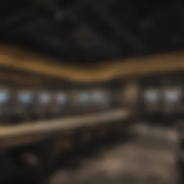 Comparison of different suite types at the arena