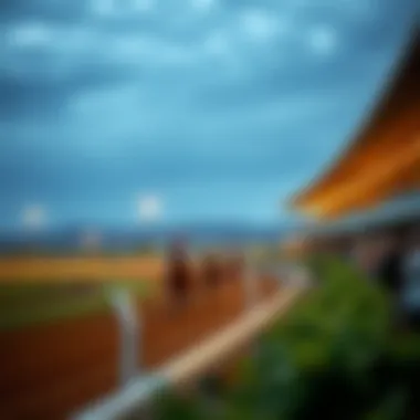 Illustration of a horse racing track with spectators