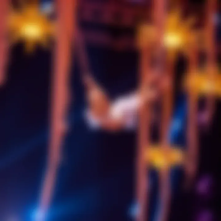 Aerial Artistry in 'O' A stunning aerial performance highlighting the artistry and acrobatics in 'O'