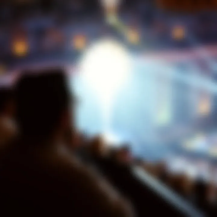 Audience Engagement in 'O' Audience captivated by the performance of 'O' at the Bellagio