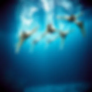 Underwater Synchronization in 'O' A mesmerizing underwater scene from 'O' showcasing synchronized swimmers