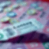 An overview of a lottery ticket